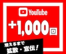 YouTube動画の再生回数を1000回増やします YouTube｜ユーチューブ｜日本エリア｜拡散｜宣伝｜シェア イメージ1