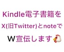 2つの人気SNSでKindleの宣伝をします X(旧Twitter)とnoteでW宣伝・鬼拡散します‼️ イメージ1