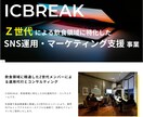 Instagram運用代行・写真撮影いたします IG運用に精通したZ世代チームが業界トップクラスのコスパで！ イメージ1