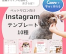 Canvaテンプレ｜すぐに投稿できる状態を作ります ペットサロン向けInstagramテンプレ(10種セット) イメージ1