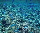 どんなことでも、優しく丁寧にお話を聞きます 聞き上手の私が、あなたの気持ちを丸ごと全肯定で受け止めます！ イメージ8