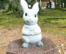 1コイン２日間！恋愛、友達…お悩みのご相談のります 友達感覚でお話しください＾＾一生懸命聞かせていただきます！ イメージ1