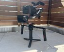 PV・MVを犬と一緒に動画撮影いたします 【撮影の小道具としてボルゾイをキャスティングできます！】 イメージ2