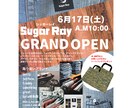 CANVAで「映える」チラシを作成致します サービス価格のみ！あなたの理想のチラシを作成いたします。 イメージ2