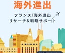 海外進出リサーチ戦略サポートを短期で整理します フランス在住×海外折衝経験を活かし現地目線で勝ち筋を見える化 イメージ1