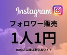 Instagram フォロワー増やします 【初心者おすすめ、最高品質、保証あり】 イメージ1