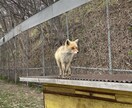 北海道旅行のプラン提案します 札幌在住者が地元の人が通うスポットや話題の場所をお伝えします イメージ8