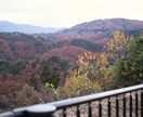 素材としての写真をご提供いたします 四季や風景の素材を探している方にぴったりな写真です。 イメージ8