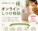 丁寧なカウンセリングとしつけアドバイスいたします わんちゃんのお悩みなんでもご相談ください。 イメージ2