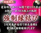 強制縁結び―5日間集中送信で潜在意識を書き換えます 愛染明王様のご加護で愛を引き寄せ、お相手に愛される極上の施術 イメージ1