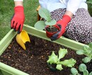 家庭菜園（野菜）の栽培に関するお悩みにお答えします 家庭菜園で楽しむために！元栽培指導員が教える栽培お悩み相談 イメージ1