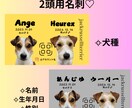 可愛い犬用の名刺作ります うちの子名刺、犬用名刺、ペット名刺 イメージ2