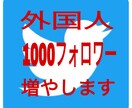 あなたの外国人フォロワー増やします ★海外でのビジネス展開を考えられている方必見★ イメージ1