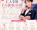 現役CAがES添削で通過しやすいESに導きます 通過率が変わる！ES添削と1週間相談無制限でブラッシュアップ イメージ1