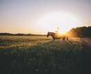 ペットヒーリングいたします 貴方の可愛がっている大切なペットへ癒しの時間を!! イメージ1