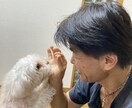 貴方に優しく寄り添いお話を聴かせてもらいます 多くの事業経験や、学びの中から誰かの笑顔に貢献したいと思い イメージ1
