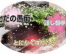 愚痴、ただ話したい、何でも聞きます 王様の耳はロバの耳！私に貴方の心の声をデトックスしませんか？ イメージ1