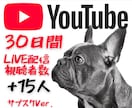 YouTubeライブ配信視聴者30日間増やします あなたの配信を“賑わう空間”へ。✨30日間同時接続15人増 イメージ1