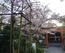 神社の御由緒調べます 近世の史料を使ってお宮の御由緒を調べます。 イメージ1
