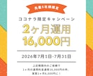 ココナラ期間限定の驚安価格でMEO対策/運用します 【7月限定キャンペーン】新規集客/認知度UPお手伝いします イメージ2