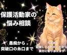 保護猫活動の悩み…孤独や辛いお気持ち聴きます 心が折れそうな活動者様へ。同じ活動者の私がお話聴きます。 イメージ1