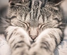 人に話しにくい悩み聞きます 人に話しにくい悩み相談相手になります イメージ1