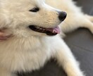 住宅ローンのご相談承ります どんな些細な事でもお気軽にお問い合わせください✨ イメージ1