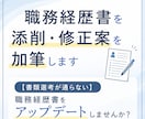 職務経歴書を添削・修正案を加筆します 【書類選考が通らない】職務経歴書をアップデートしませんか？ イメージ1