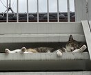 辛いなと思いましたらご連絡くださいアドバイスします 辛いなと思ったらコーチングでしのぎましょう イメージ1