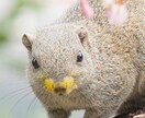 本来の貴方の輝き取り戻します まずはご自分の持って生まれた性質を知りましょう。 イメージ1
