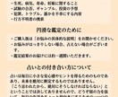 気軽に試せるタロット鑑定をいたします ねこのように寄り添い、あなたの日常に小さな安心を イメージ3