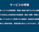 モニター価格：プロコンサルが経営戦略を提案します プロコンサルが経営戦略とマーケティング戦略をご提案します イメージ2