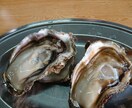 愚痴聞き、何でもお話したいことお聞き致します 寝たきりから1日12時間以上働いています イメージ2