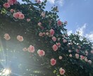 願望実現のお手伝いをします 自分自身の古く重石になっている思い込みを手放し願望実現 イメージ1