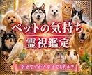 ペットと繋がり【霊視】で気持ちをお伝えします 何を考えているのか、普段聞けない事がわかります イメージ1
