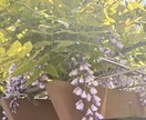 占い師の目線で話を聞きます 占いはしませんが、占い師目線で話を聴きます イメージ1