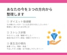 管理栄養士が今のダイエット方針を診断します 食事記録なしで今のストレスと痩せ方の方向性が分かる！ イメージ6