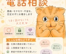 しんどい気持ちや愚痴を否定せずにお聴きします 仕事・家庭・人間関係のモヤモヤ、結論が出なくても大丈夫です イメージ1