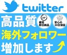 Twitterの海外フォロワー1000人増やします ▶︎「30日間減少保証あり」▷最安値挑戦中 イメージ1