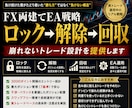 FX両建てロック→解除→回収の全ロジック公開ます 両建て戦略ロック解除回収による資金管理とポジション設計を提供 イメージ1