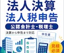 法人決算・税務申告をサポートします 公認会計士・税理士が会計確認から電子申告まで対応 イメージ1