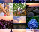 私の感覚での、写真の構図とレタッチをいたします 色の質感を大事にレタッチしてます（╹◡╹） イメージ2