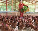 市場出荷しない農業経営の相談にのります 自分の商品としてブランディングし、生産物を売りましょう！ イメージ1