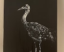 ペットなど動物の似顔絵お描きします 思い入れのあるペットや大好きな動物のかっこよくかわいい絵を。 イメージ6