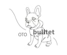 愛犬をモダンアート風のイラストにします アイコン/インテリア/グッズにおすすめ♪ イメージ2
