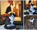愛犬愛猫のオーダーメイド3Dフィギュアを制作します 写真から息づくような立体へ　驚きのコスパでの至高のメモリアル イメージ3