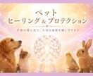 ペットヒーリング＆プロテクションをお届けします 大切な小さな命を宇宙の愛と光で優しく包み込みます✨ イメージ1