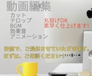 動画編集をします レスポンスは早く対応させていただきます。 イメージ1