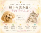 虹彩リーディング｜話せない想いを瞳から読み解きます 愛犬・愛猫ちゃんを 今よりもっと深く知るためのリーディング イメージ3
