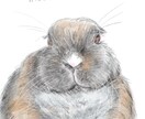 柔らかいタッチでペットのイラストを描きます 大切な家族の一員をイラストにしてみませんか？ イメージ3